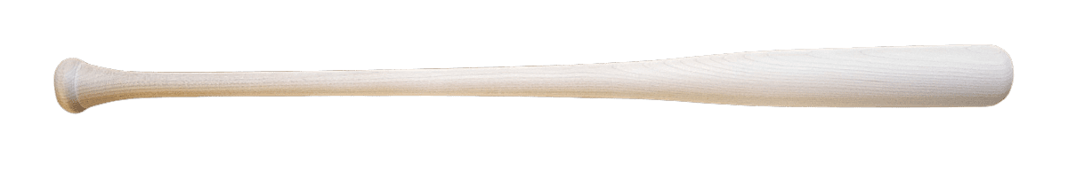 Fungo